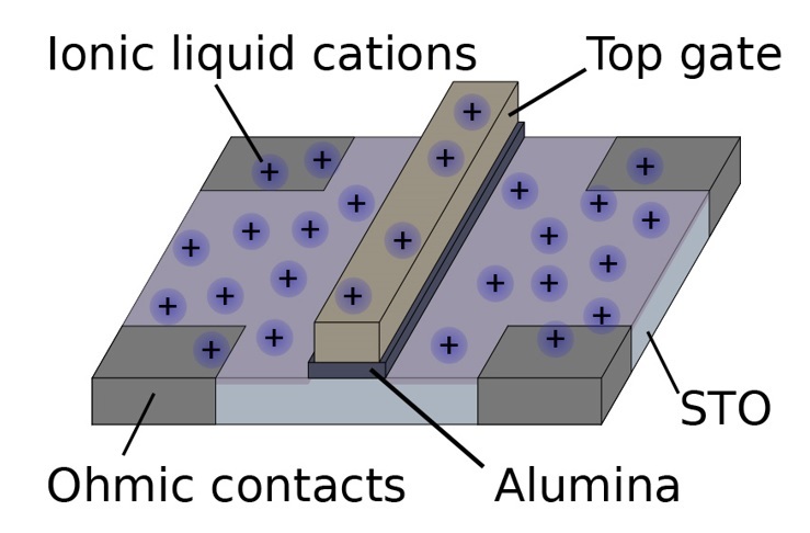 Schematic of the device