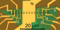 Optical microscope image