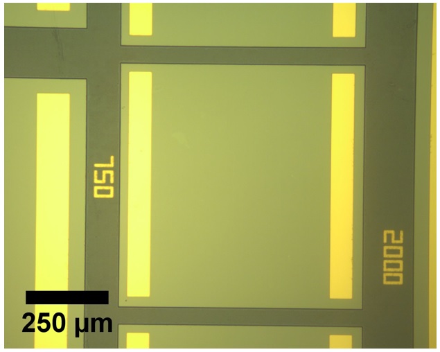 Ge1-xSnx photoconductor