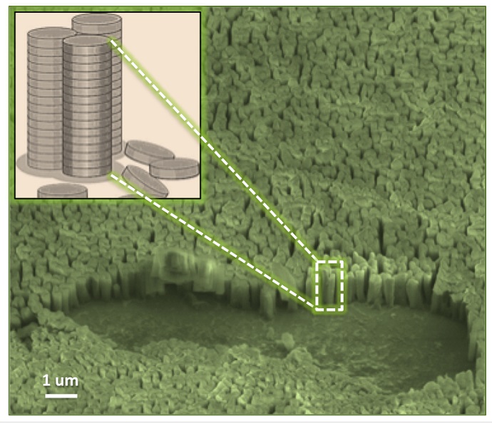 Vertical nanopillars