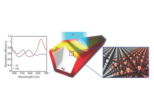 Absorption efficiency of an individual core-shell nanowire antenna