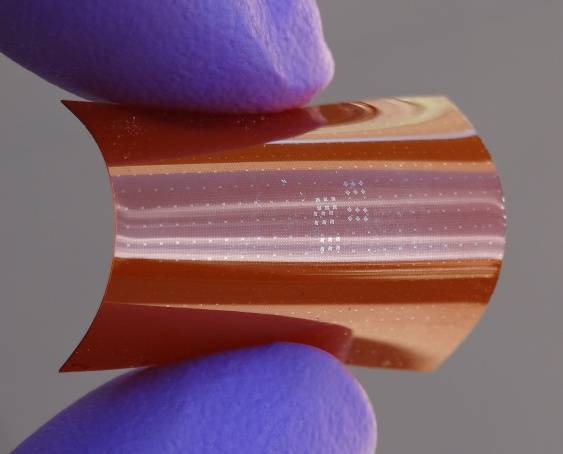 Molybdenum sulfide flexible circuit