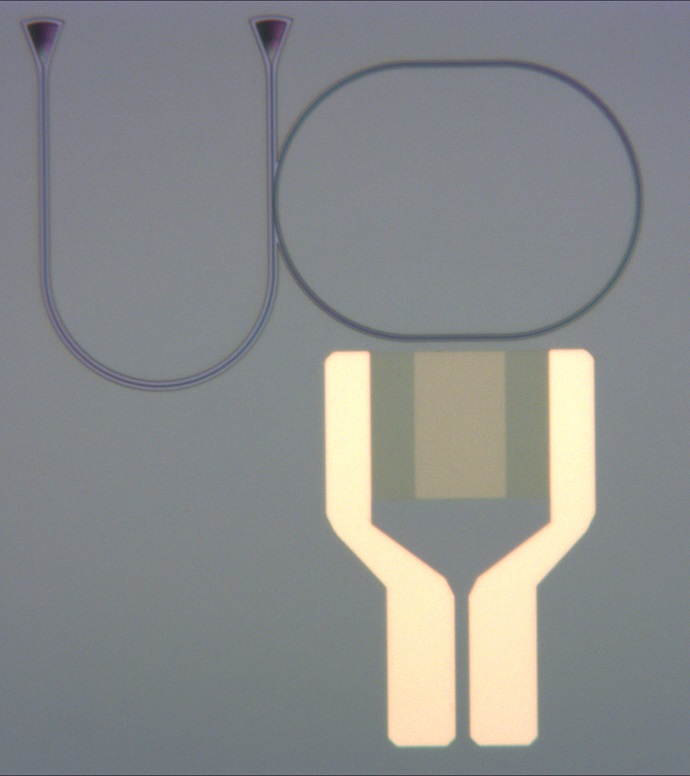 Optical microscope image of the integrated photonic circuit with an interdigital transducer