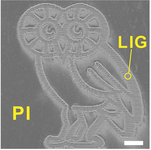 This finely detailed Rice Owl was produced by burning a graphene foam pattern into a flexible polyimide sheet with a laser