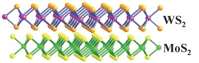 Schematic illustration of monolayer MoS2 and WS2 stacked vertically