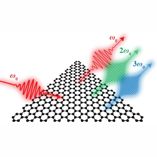 Graphene plasmons vs noble metal nanoparticles