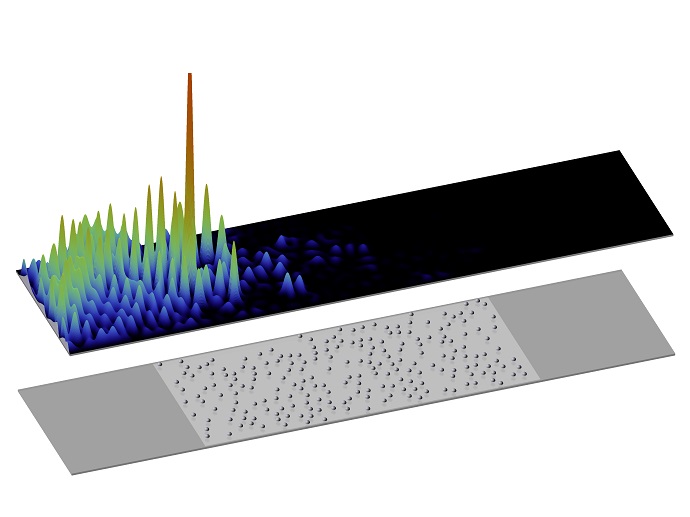 A wave enters an area with many scatterers