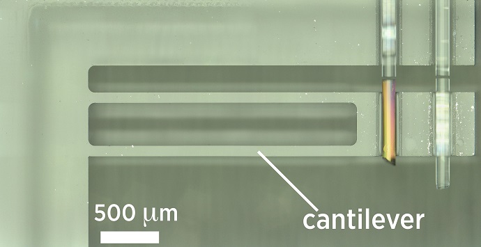 AFM probe