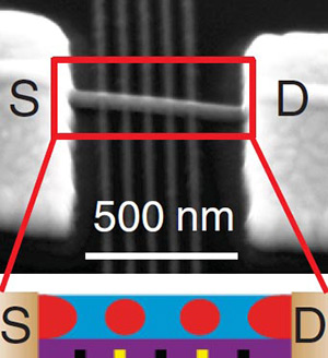 A double quantum dot as imaged by a scanning electron microscope