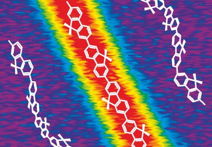 image of a conjugated polymer thin film