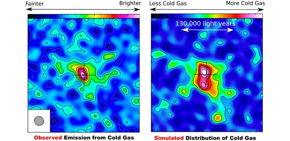 Comparison of observation and simulations