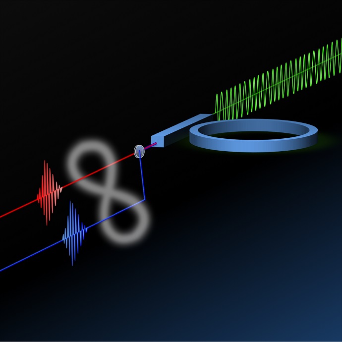 Drawing of the silicon ring resonator with its access waveguide