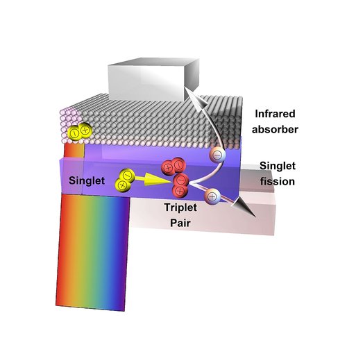 Singlet fission in organic hybrid solar cells