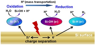 Schematic illustration for the mechanism responsible for photocatalytic hydrogen production on the surface of silicon nanowires