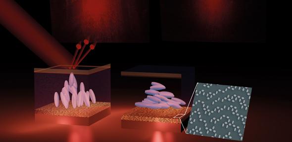 Rendered schematic of holographic pixels in operation showing switching states