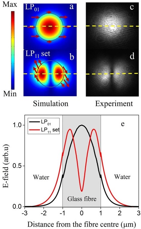 The shape of light in the fundamental mode