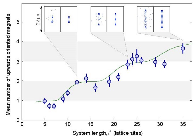 With growing system length the number of upwards oriented magnets rises in steps