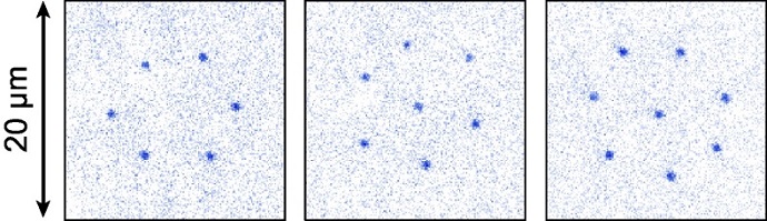 The figure shows single Rydberg crystals of varying sizes as they were observed