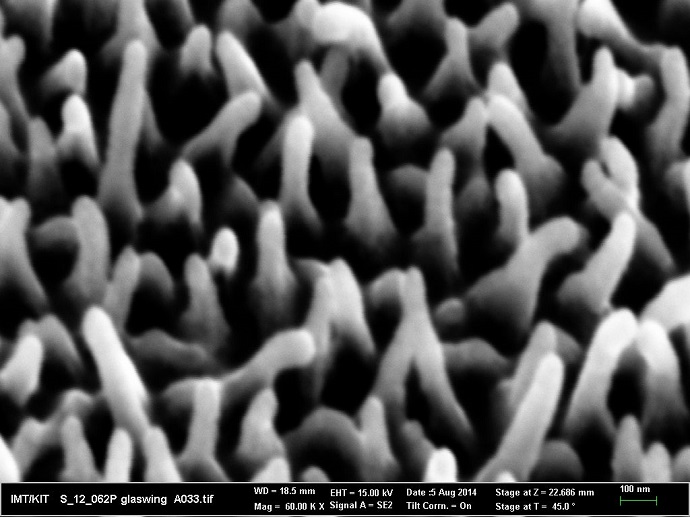 Irregularity of the size and distribution of nanostructures on the surface of the butterfly wing