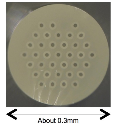 Cross-section image of 36-core multimode fiber