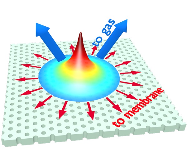 Once the laser beam hits the surface of a sample it starts to generate heat which diffuses along the membrane but also it diffuses to the ambient gas