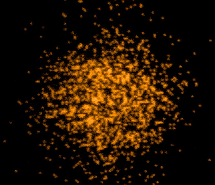 A Quantum gas microscope for fermionic atoms