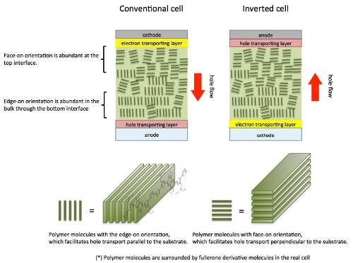 Schematic illustrating the structure of the new solar cell