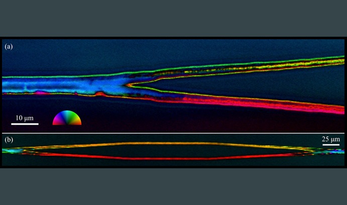 A polarized light field microscope image shows crystal junctions written inside glass with a femtosecond laser