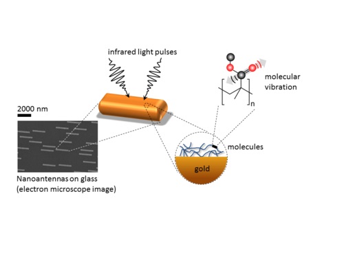 Nanoantennas fabricated on a glass window