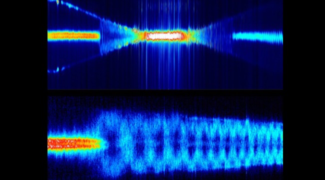 This technique directly images the propagation of light through an optical nanofiber