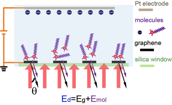 Diffraction signal is generated by periodic variation of optical susceptibility at the interface