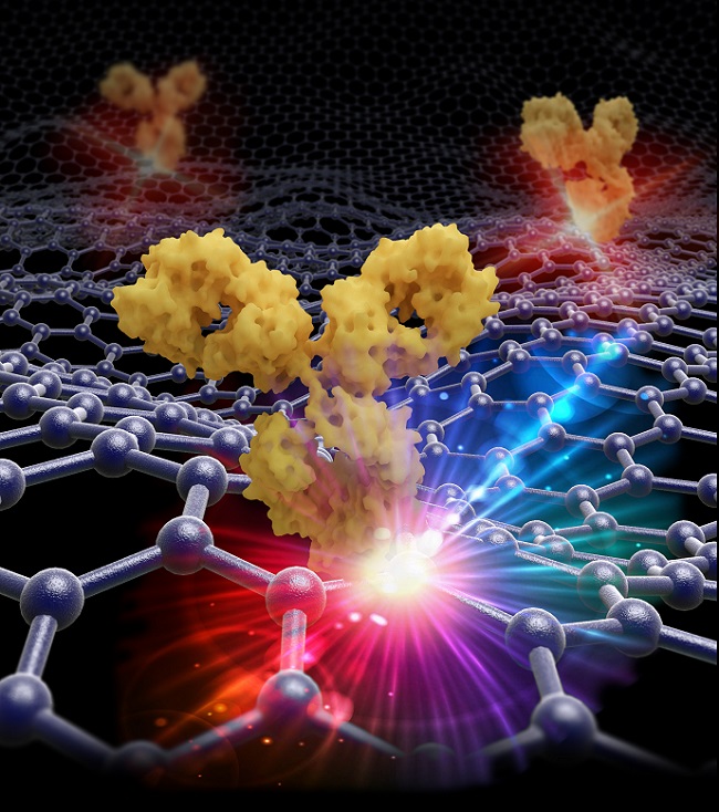 A graphene-based sensor that is tunable and highly sensitive