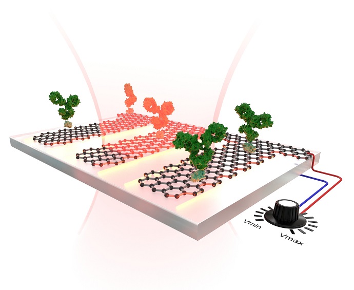 A graphene-based sensor that is tunable and highly sensitive