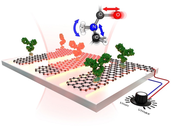 A graphene-based sensor that is tunable and highly sensitive