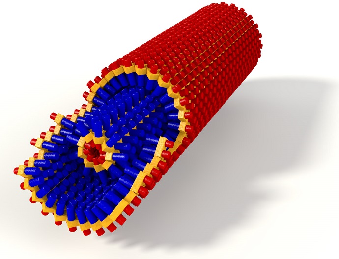 The investigated artificial light harvesting aggregates have a diameter of less than 15 nm