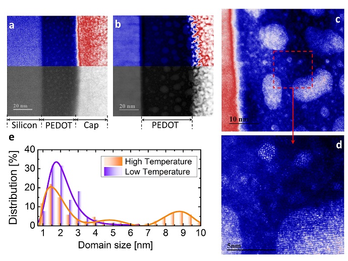 Scanning Transmission Electron Microscope images