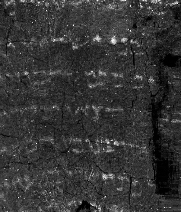 Unwrapped texture image of the Ein Gedi scroll