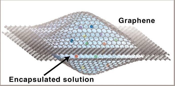 The Berkeley Lab GLC improves the resolution of TEM imaging with a viewing window made from a graphene sheet