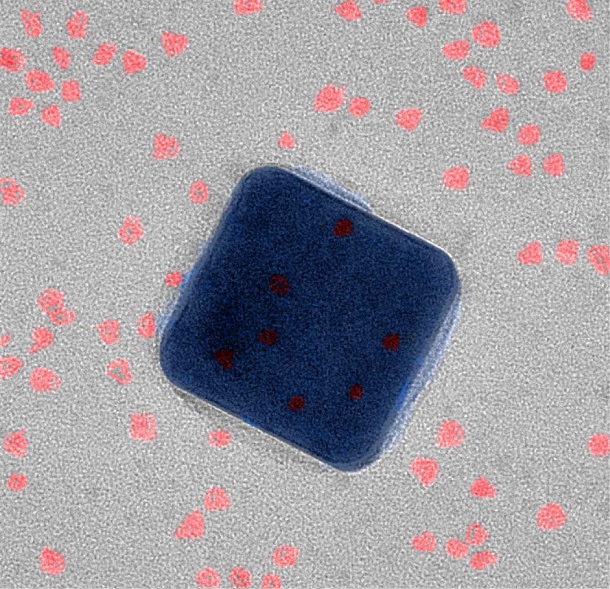 A nanoscale view of the new superfast fluorescent system using a transmission electron microscope