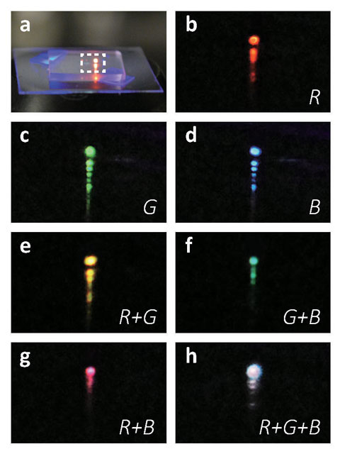 mixed emission color from a multi-segment nanosheet