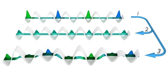 Schematic illustration of the experiment