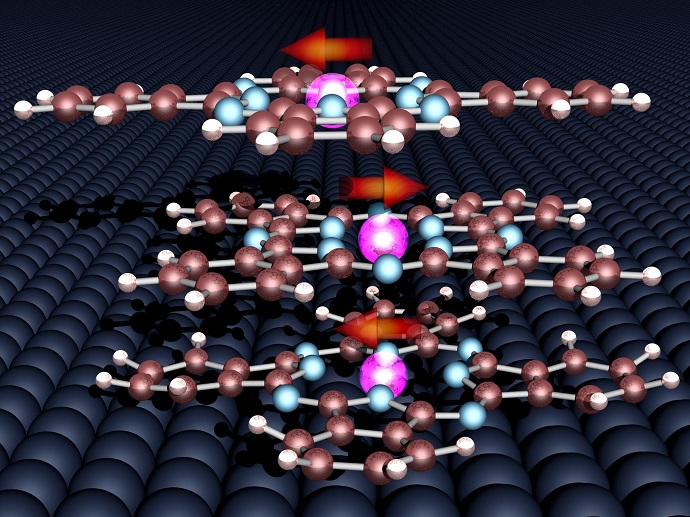 The magnetic moments of the three organic molecules and the cobalt surface align very stably relative to each other