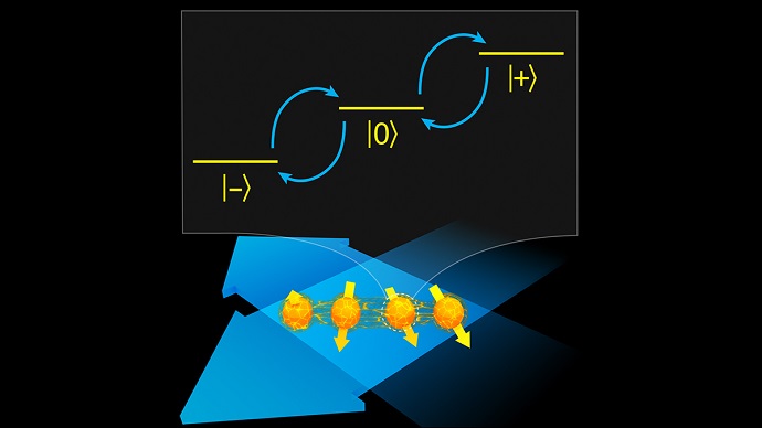 Interacting Ion Qutrits