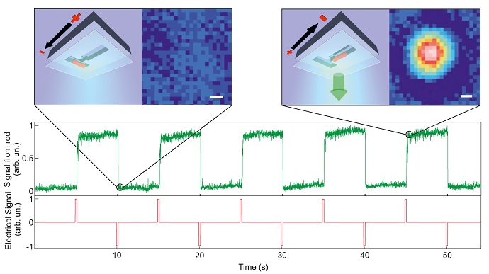 A nanorod is switched between two states