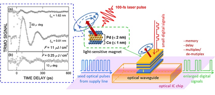 Experimental data of photo-excited precession of magnetization