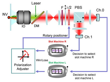 System architecture for single-photon decision maker and schematic diagram of experimental setup