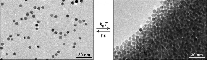 Nanoparticles in a light-sensitive medium scatter in the light