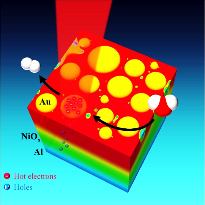 Rice University researchers have demonstrated an efficient new way to capture the energy from sunlight and convert it into clean renewable energy