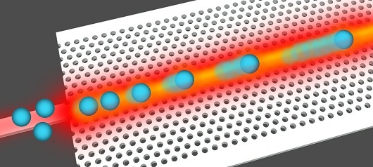 Slow light speeds up the microscopic world