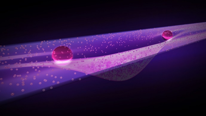 A Bose-Einstein condensate forms inside a quasi-one-dimensional trench amid a two-dimensional gas of ultracold atoms